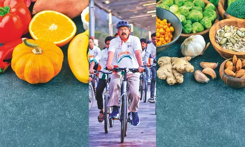 Gut health: The gateway to holistic wellbeing