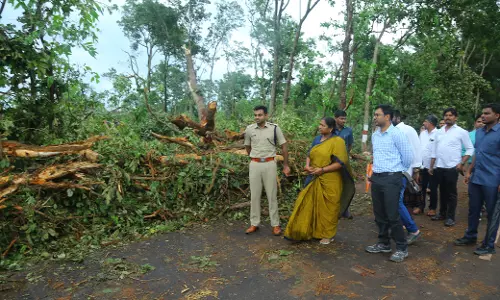 Centre urged to sanction spl funds to restore Mulugu forest Centre urged to sanction spl funds to restore Mulugu forest