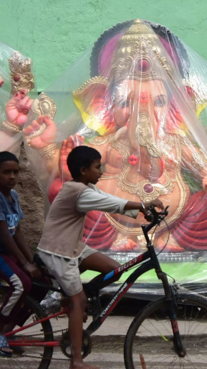 The Lord Ganesha idol is being transported to the residential colonies from various parts of the city, as Ganesh Chaturthi will be celebrated on the 7th of September.