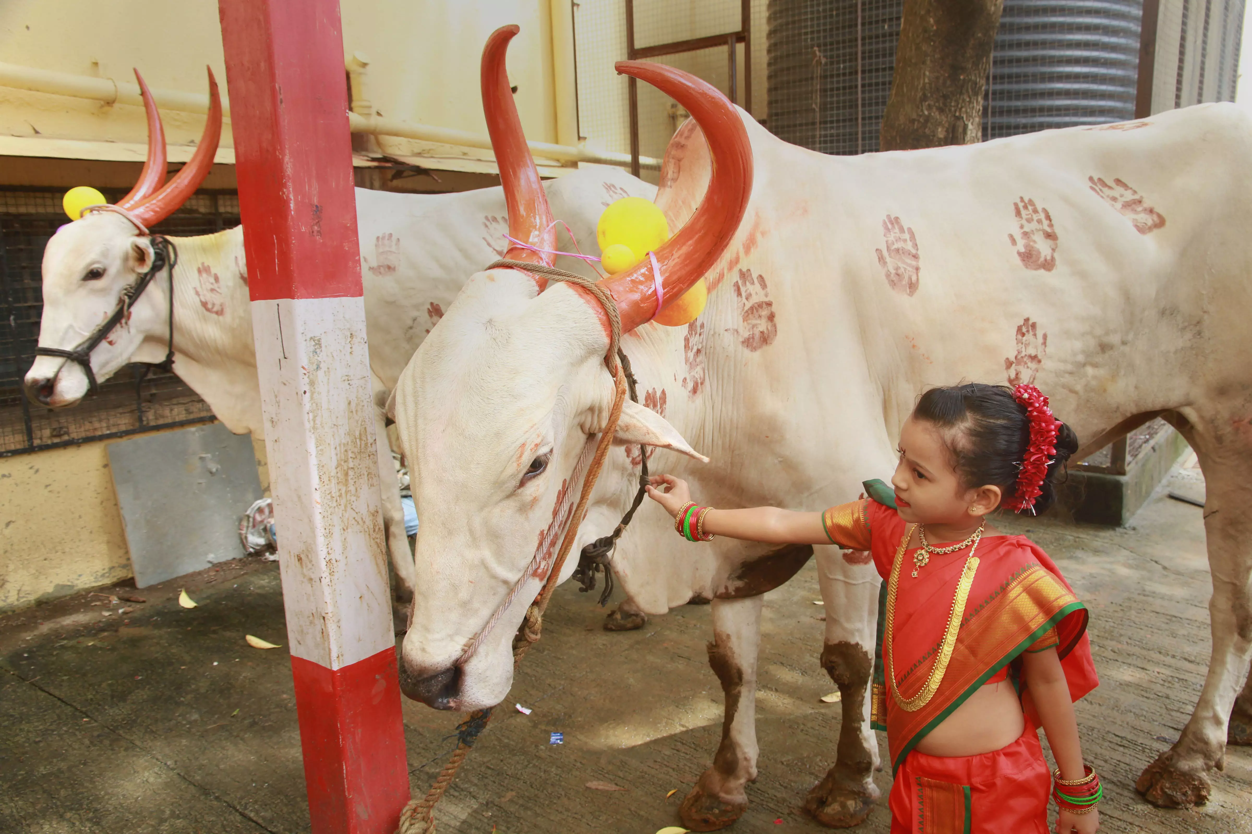 DC Edit | Nip cow vigilantism in the bud DC Edit | Nip cow vigilantism in the bud