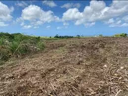 Land caves in YSR dist Land caves in YSR dist