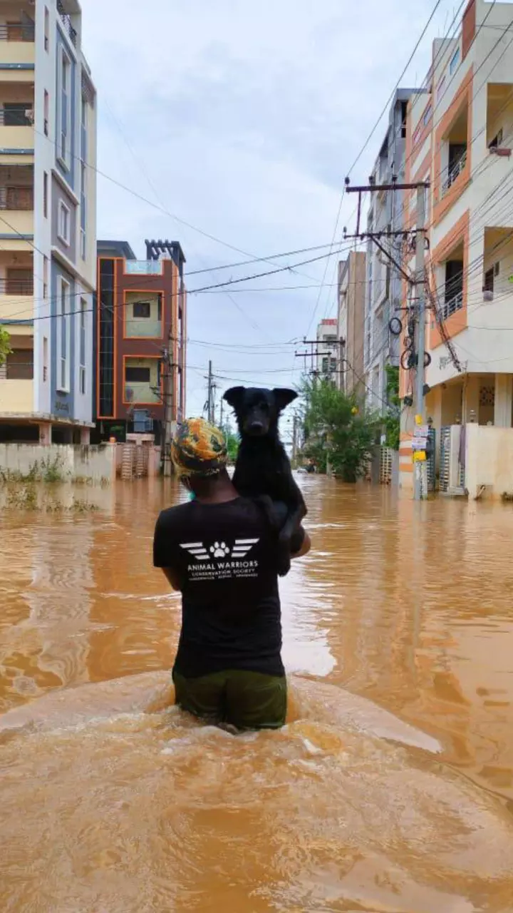 Andhra Pradesh CM surveys the flooded regions of Devinagar and Pauputhota in Vijayawada on Thursday