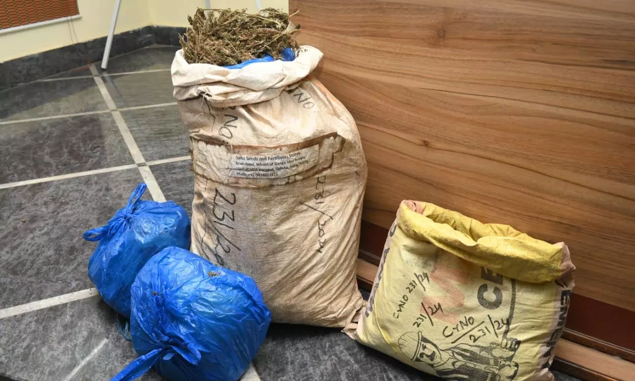 Vizag: Nine Arrested, 22 Kg Ganja Seized Vizag: Nine Arrested, 22 Kg Ganja Seized