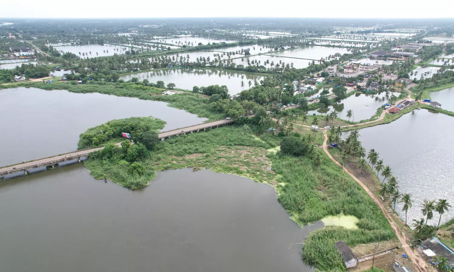 Overflowing Kolleru inundates parts of Eluru district