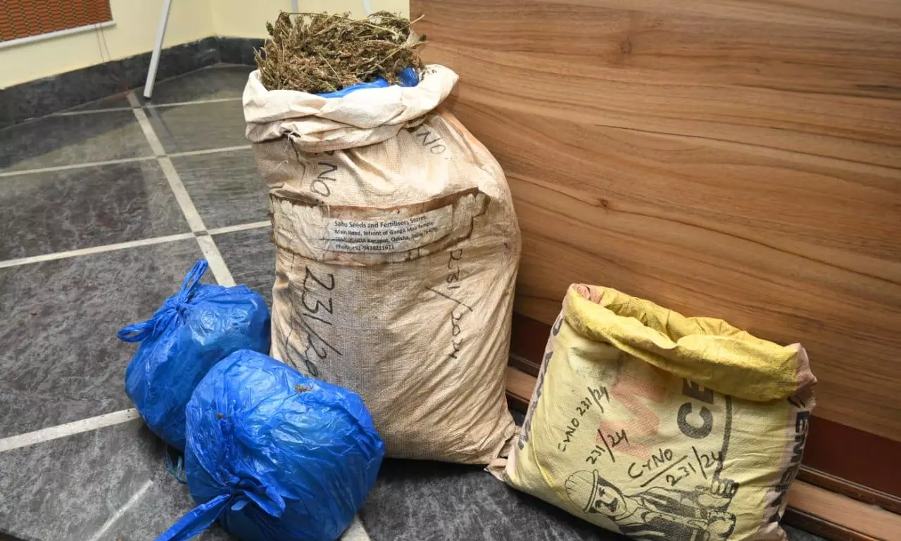 Vizag: Nine Arrested, 22 Kg Ganja Seized Vizag: Nine Arrested, 22 Kg Ganja Seized