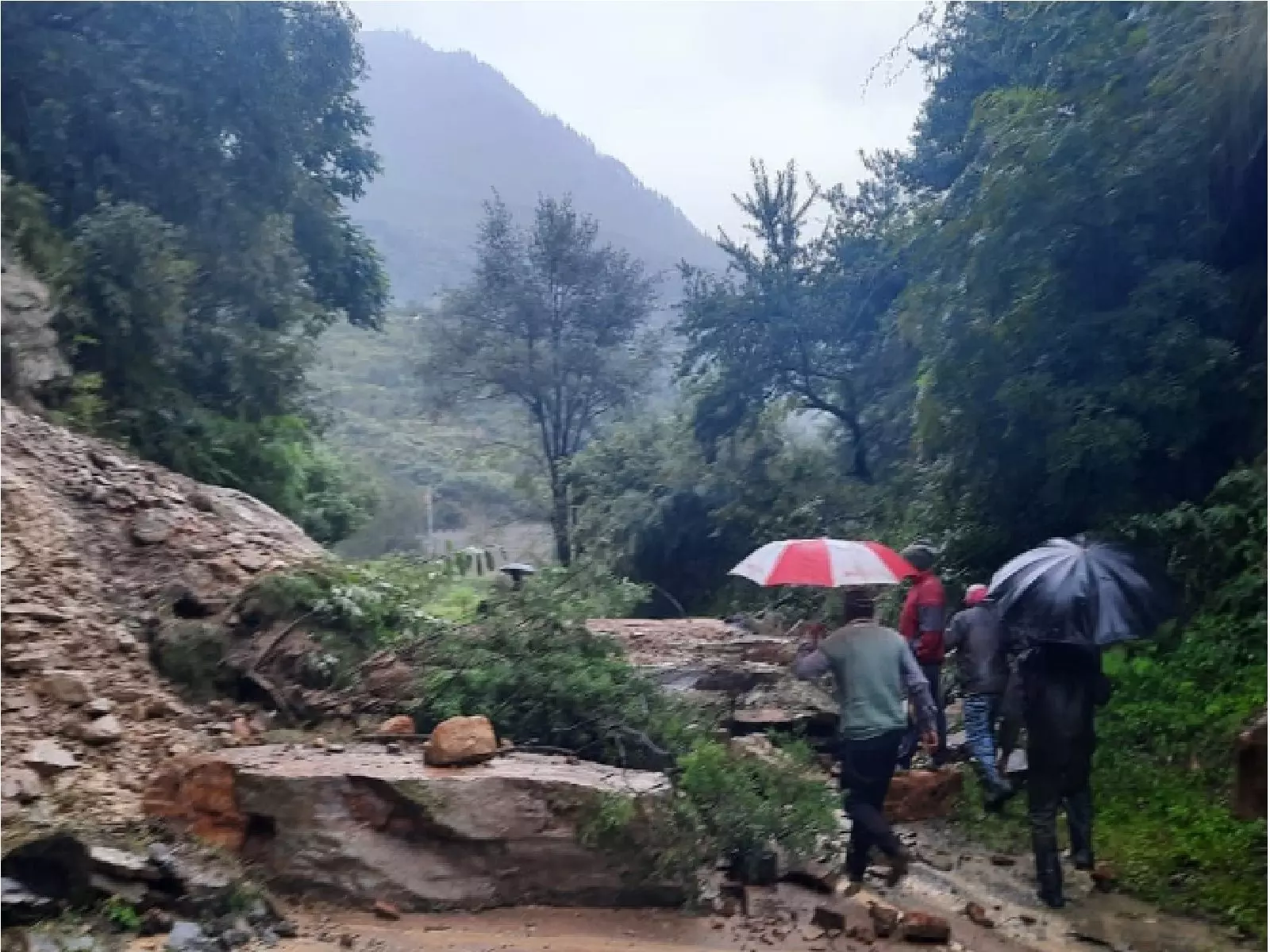 Heavy Rain Triggers Landslides, Destroys Bridges in Sikkim