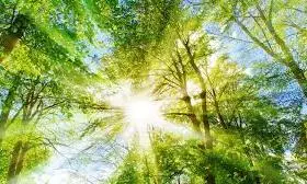 Sunshine returns to Andhra Pradesh