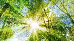 Sunshine returns to Andhra Pradesh Sunshine returns to Andhra Pradesh