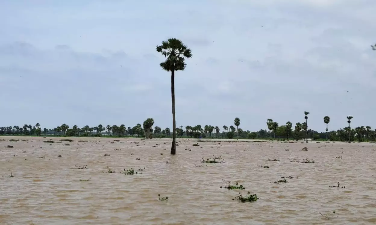 Flood-Hit Farmers Look to Govt for Aid