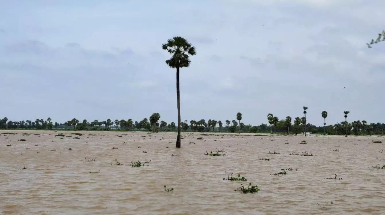 Flood-Hit Farmers Look to Govt for Aid