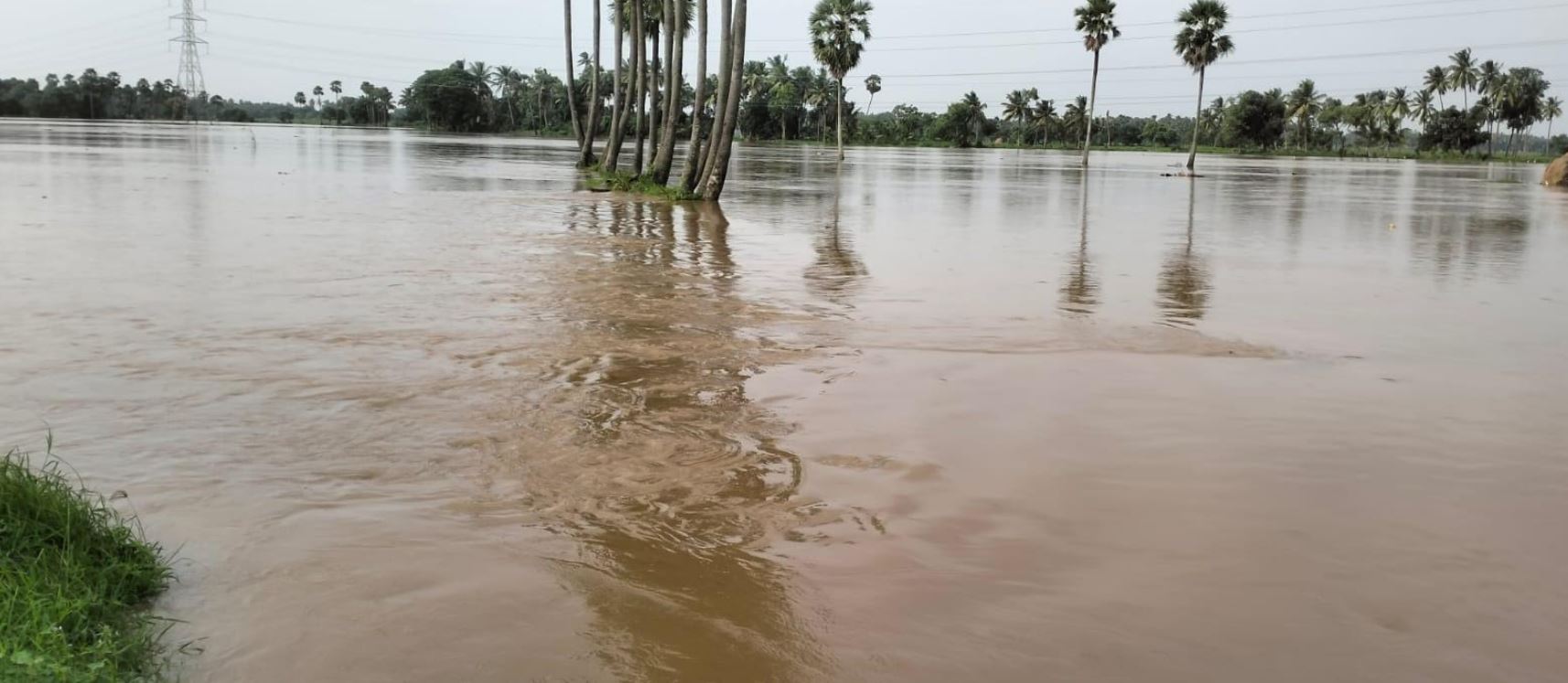 Flood-Hit Farmers Look to Govt for Aid
