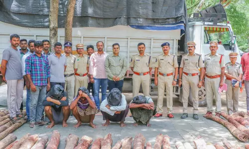 Red Sanders Smuggling Foiled, Logs Worth Rs 62.5 Lakh Seized, 4 Arrested