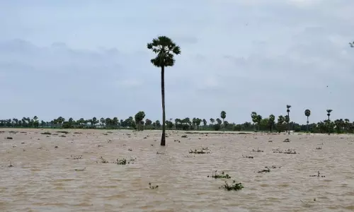 Flood-Hit Farmers Look to Govt for Aid Flood-Hit Farmers Look to Govt for Aid