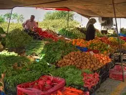 Cancellation of weekly off in Vizags Rythu Bazaars Cancellation of weekly off in Vizags Rythu Bazaars