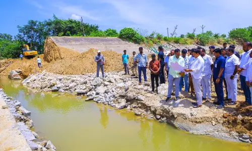 Revenue min instructs officials to finish canal repair at earliest