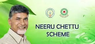 AP CM releases Rs 259 crore pending fund for Neeru-Chettu scheme AP CM releases Rs 259 crore pending fund for Neeru-Chettu scheme