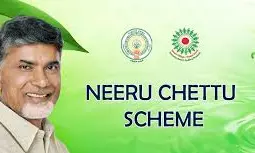 AP CM releases Rs 259 crore pending fund for Neeru-Chettu scheme
