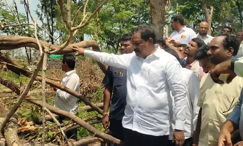 Cloudburst wiped out forest wealth in Mulugu: Podem Veeraiah