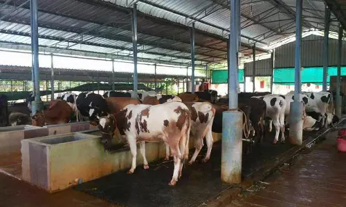 Indira Dairy to be set up in Khammam