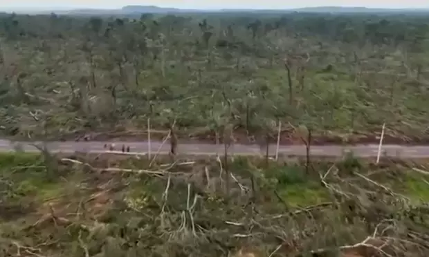 Mulugu forest tree fall: workshop on Sept 24 to dig out reasons