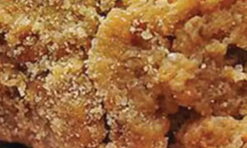 Minister Durgesh Says Simhachalam Laddus Too Adulterated