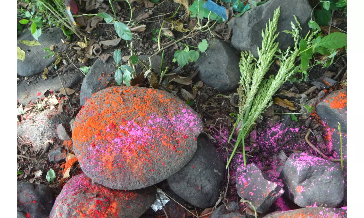 Farmers worship mother nature for good crops, own welfare