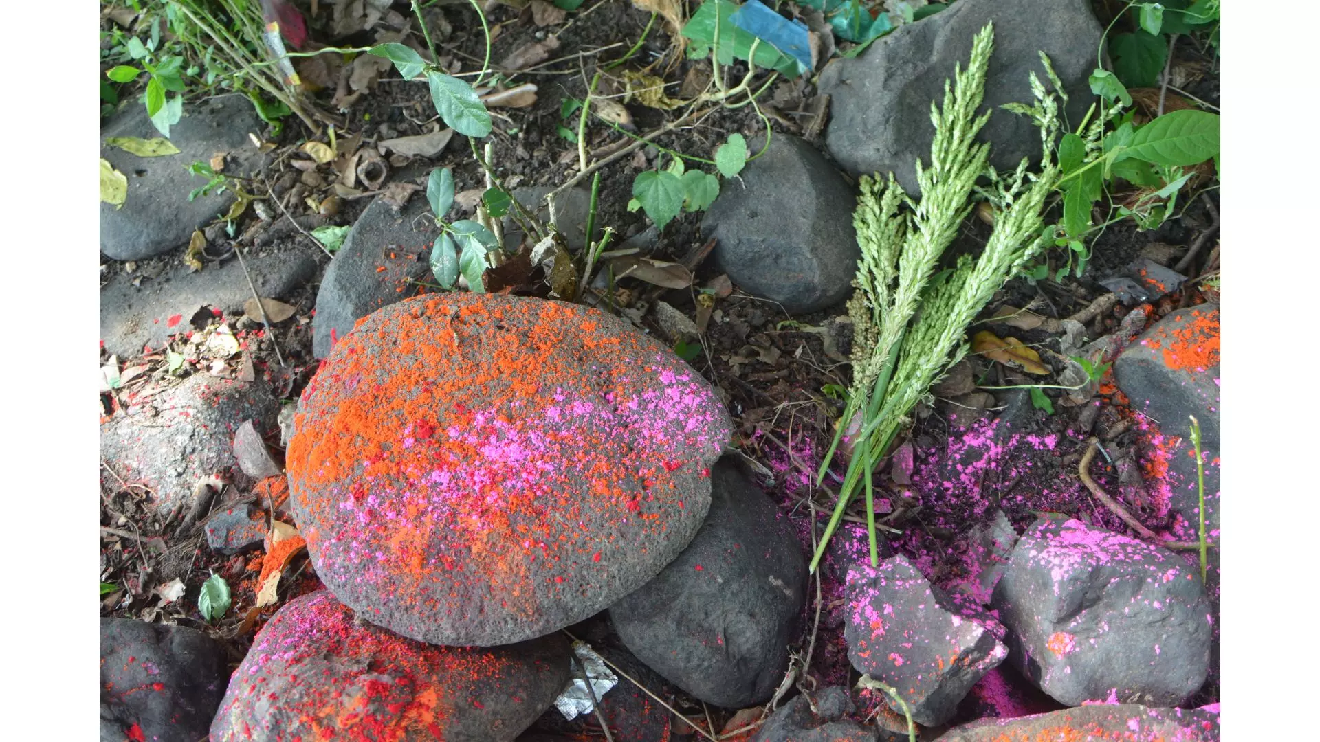 Farmers worship mother nature for good crops, own welfare Farmers worship mother nature for good crops, own welfare