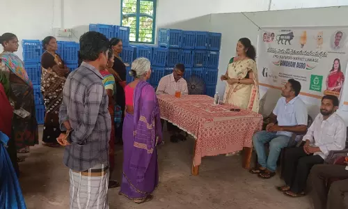 Tribal farmers see rewards in cashew juice