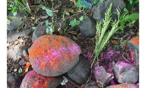 Farmers worship mother nature for good crops, own welfare