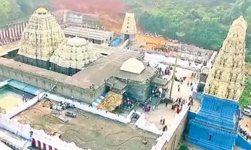 Eight Killed in Wall Collapse at Simhachalam Temple