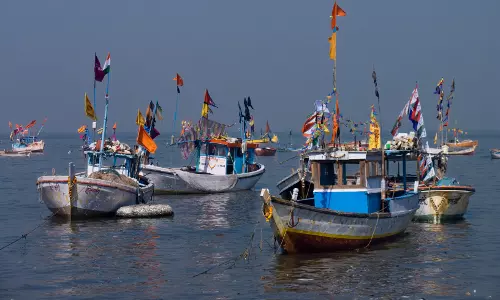 Sri Lanka Navy Arrest 14 Indian fishermen for alleged poaching