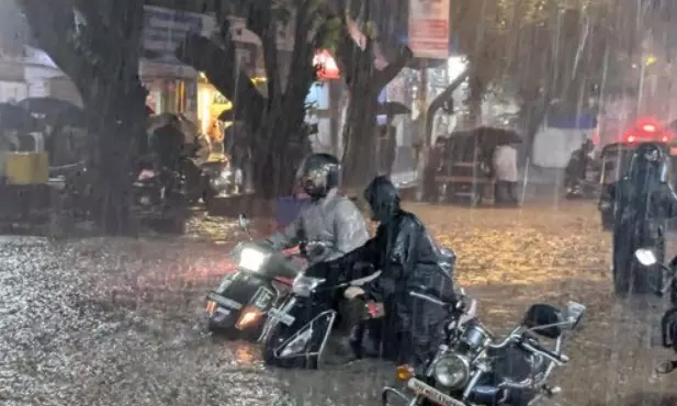6 killed in heavy rain-related incidents in Maharashtra in 24 hours 6 killed in heavy rain-related incidents in Maharashtra in 24 hours