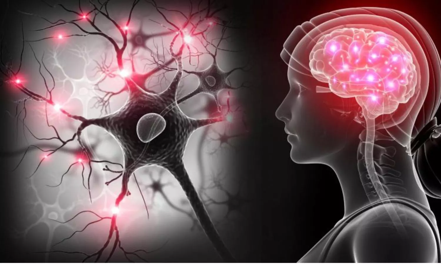 How brains memory centre helps form muscle memory, study suggests How brains memory centre helps form muscle memory, study suggests