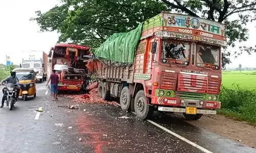 Telangana: Cops Stand Guard as Onions Spill on Road After Accident