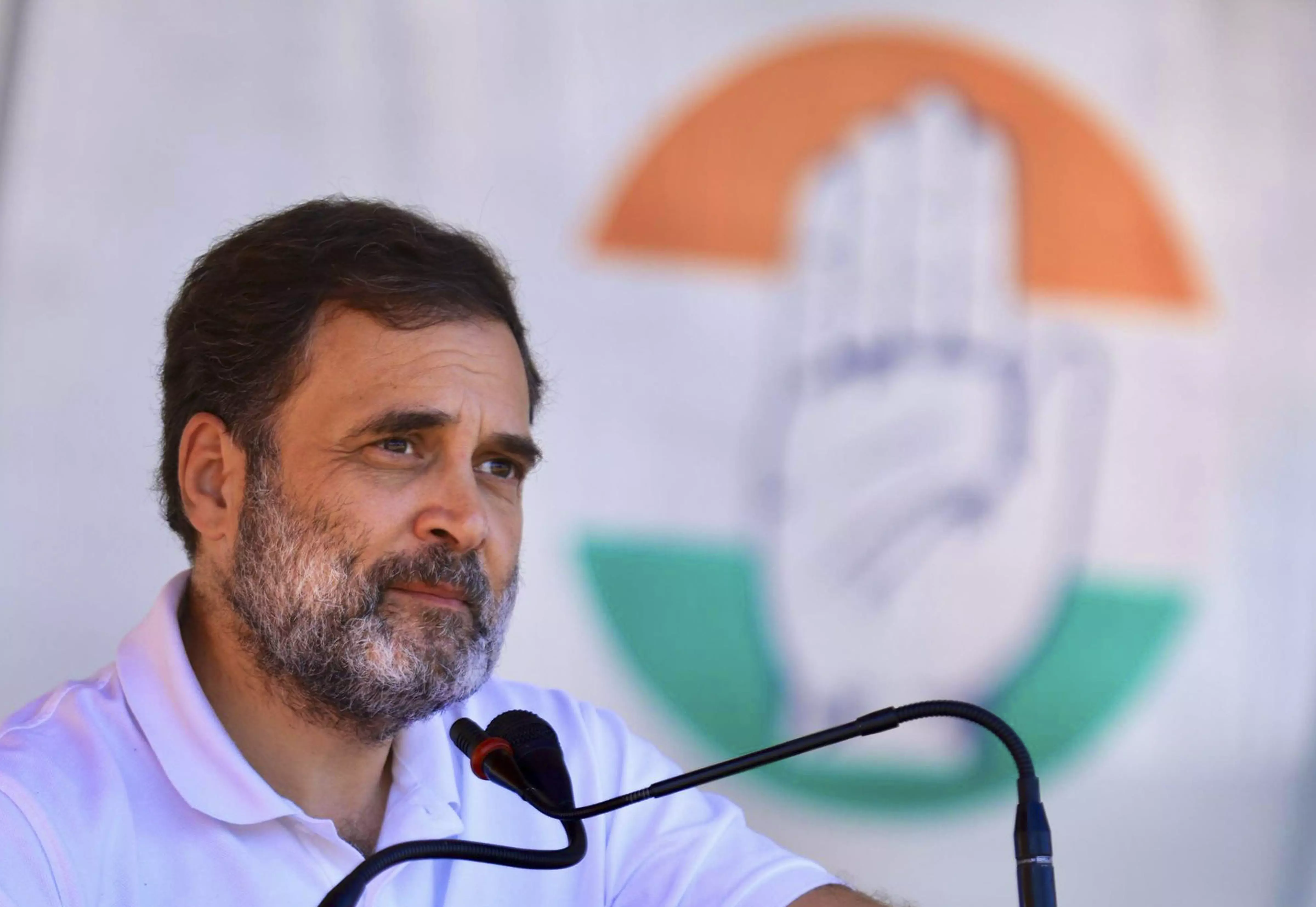 Congress will End Decade of Pain in Haryana: Rahul Congress will End Decade of Pain in Haryana: Rahul