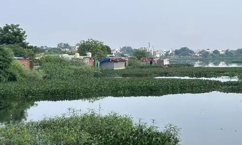 Encroachments in Khanapur tank being identified before razing