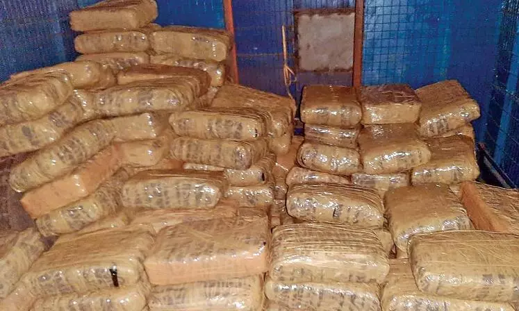 Khammam Cops Dispose Seized Ganja Khammam Cops Dispose Seized Ganja