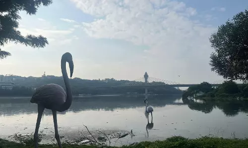 Durgam Cheruvu Shut As Sewage and Waste Pollute Lake