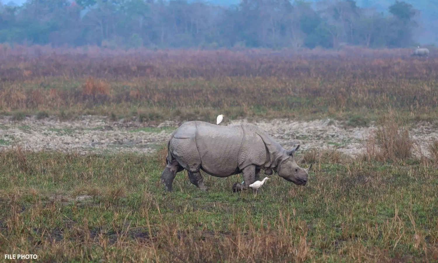 Assam’s Kaziranga National Park opens for tourists