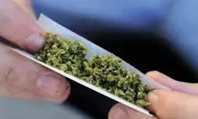 Driver held for growing ganja