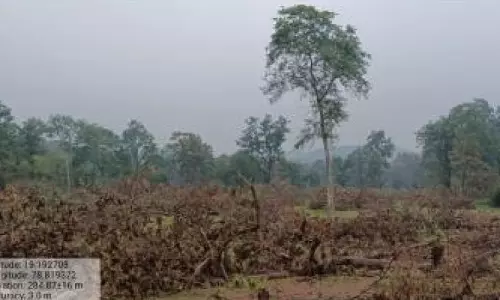 Forest Dept Told to Help Tribals Farm in Their Patta Lands