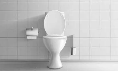 What is Toilet Seat Tax that outraged Himachal citizens? What is Toilet Seat Tax that outraged Himachal citizens?