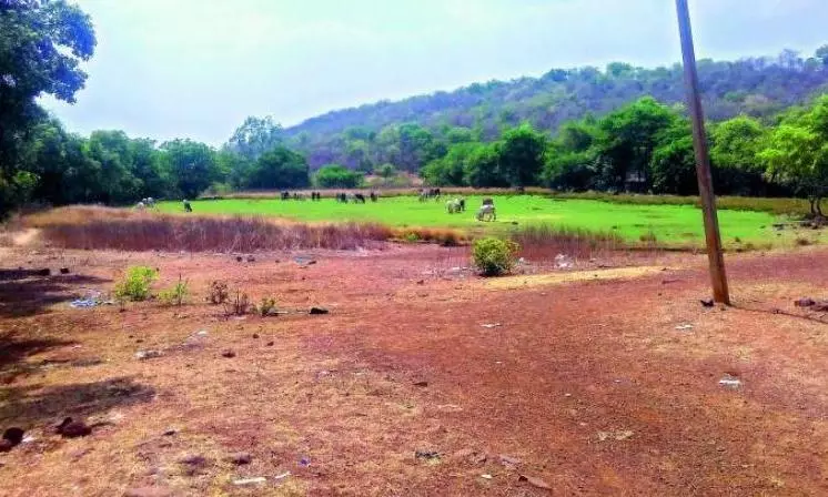 Chennai: Minister accused of land grab Chennai: Minister accused of land grab