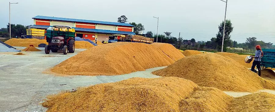 16.41 LMT fine paddy procured in Telangana