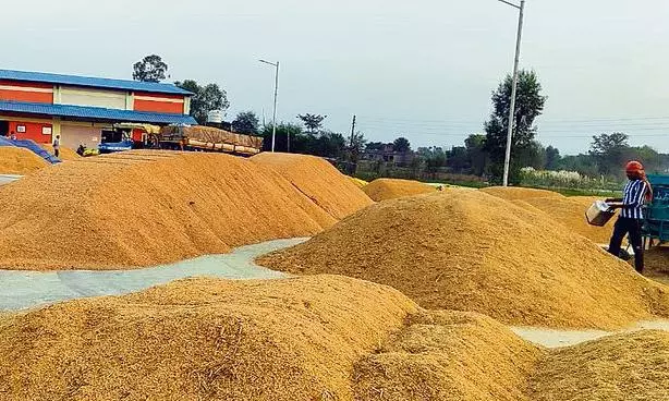 Telangana Tops Nation in Paddy, Without KLIS: CM Telangana Tops Nation in Paddy, Without KLIS: CM