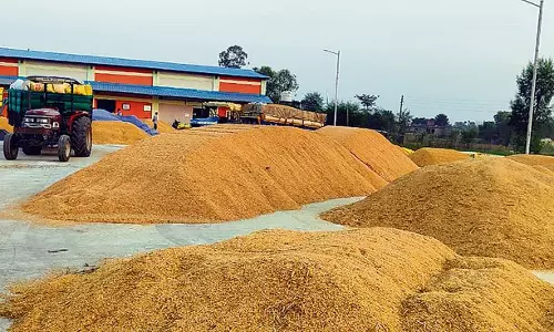 16.41 LMT fine paddy procured in Telangana