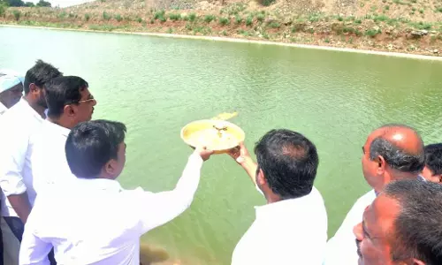 Water released from GNSS project to irrigate 15,000 acres in Kadapa district