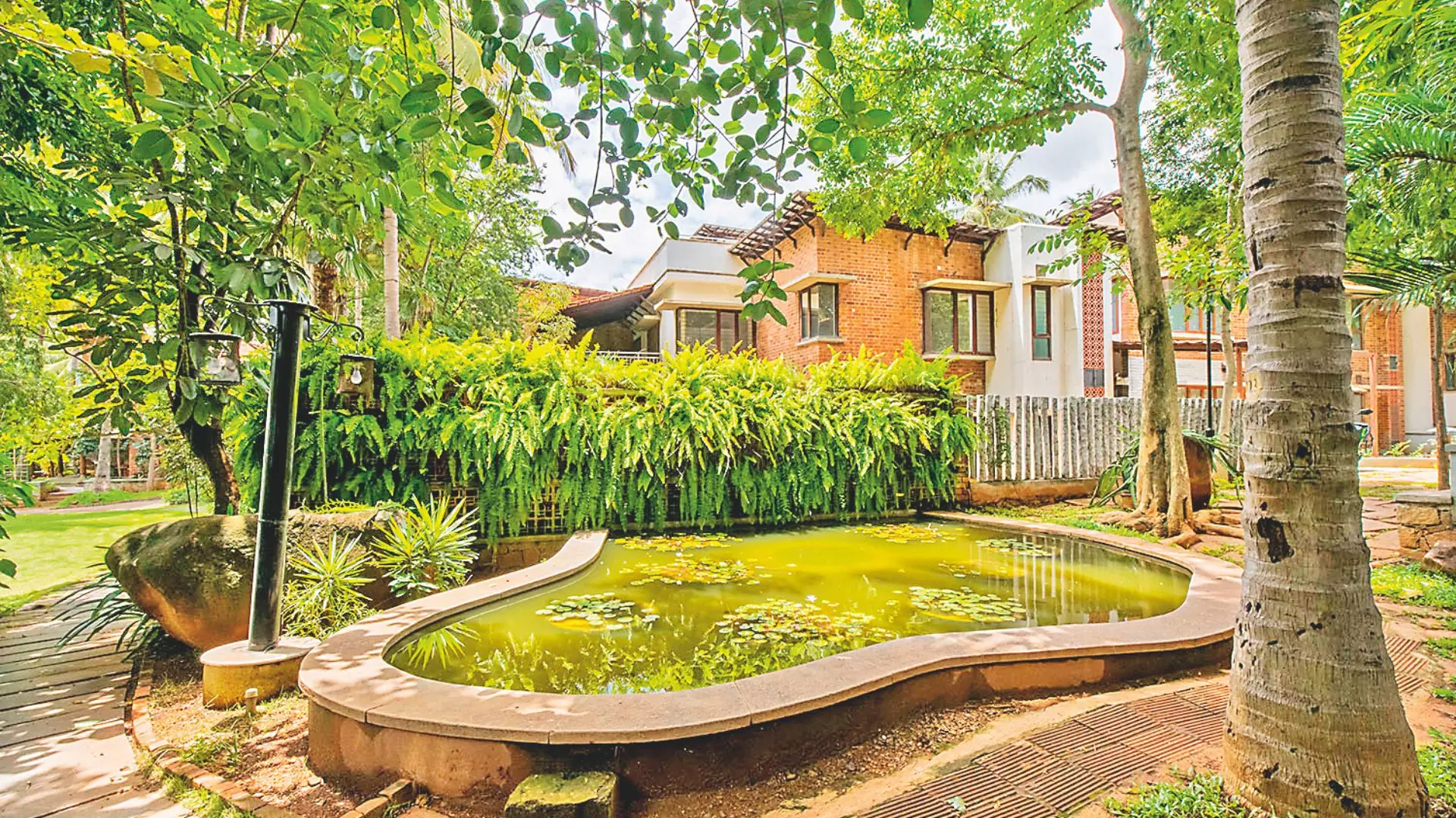 Contaminated rainwater can be a health hazard Contaminated rainwater can be a health hazard