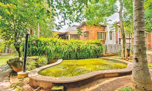 Contaminated rainwater can be a health hazard