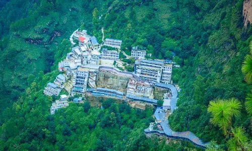 26k Trees Planted To Make Vaishno Devi Hills Greener